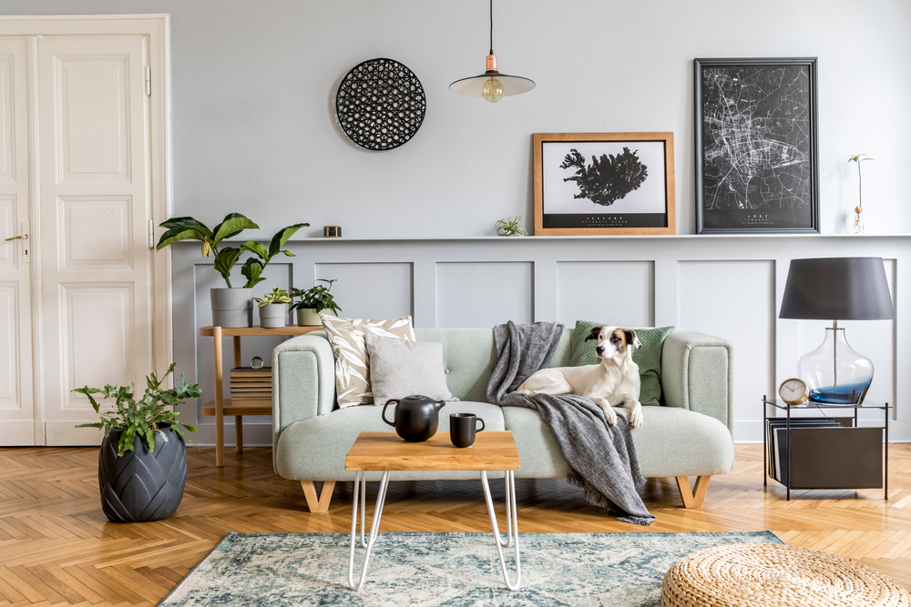 pet-friendly-dog-alarm